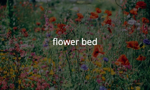 花壇を作る ブルーベリーヒル淡路